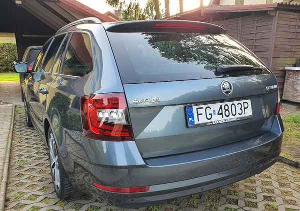 Skoda Octavia cena 69999 przebieg: 197845, rok produkcji 2019 z Iłża małe 781